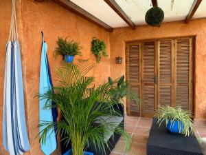 een patio met 2 parasols en potplanten bij Villa con Piscina privada o Apartamento con Jacuzzi y Terraza in Almuñécar