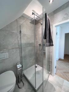 a bathroom with a glass shower with a toilet at Relaxhome in Hallschlag +33 photos