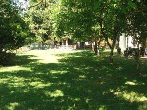 een groen park met bomen en een gebouw bij Gite des Suis in Villecroze