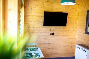 a room with a tv on a wooden wall at Domek Między Wodą in Międzywodzie