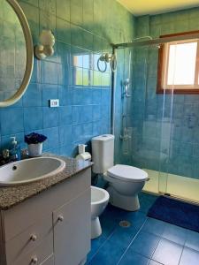 ein Bad mit einem WC, einem Waschbecken und einer Dusche in der Unterkunft Casa en Nigran amplia, cerca de la playa. in Nigrán