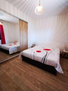 1 dormitorio con 2 camas y un espejo grande en VILLA privée 3 étoiles avec piscine, jardin et terrain de pétanque en Lecci