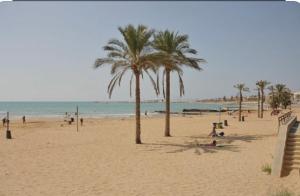 pessoas em uma praia com palmeiras e o oceano em Sikelia em Marina di Ragusa