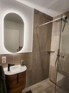 a bathroom with a sink and a shower with a mirror at Ferienwohnung am Goitzschesee in Pouch