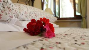 a bouquet of red roses sitting on a bed at B&B Lo Gnomo in Pennapiedimonte