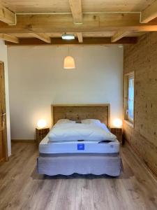 Sarrogna的住宿－Cabane Sarrogna - Lac de Vouglans，铺有木地板的客房设有一间带大床的卧室