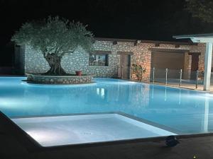 a swimming pool at night with a tree in the middle at Hotel GANS in Cascia +18 photos
