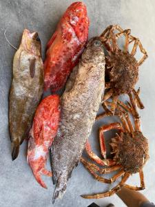 un grupo de peces y un cangrejo sobre una mesa en VILLA ALBA ROSULA, en Ajaccio