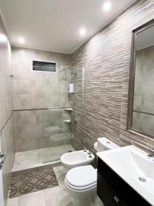 een badkamer met een toilet, een wastafel en een douche bij Aires del Valle in San Agustín de Valle Fértil