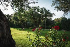 Zahrada ubytování Panorama Hideaway