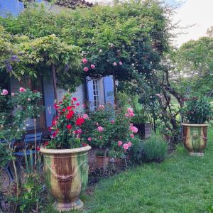 Afbeelding uit fotogalerij van Le Mas des Pins in Mane