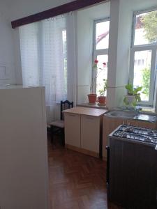 a kitchen with a stove top oven in a room at Vila Oltețul in Predeal