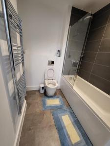 a bathroom with a toilet and a shower at Amazing 5 Stars Home in London
