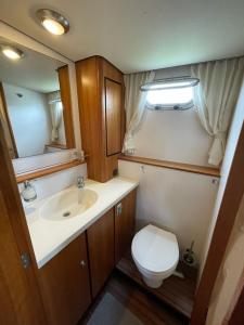 a small bathroom with a toilet and a sink at Yacht / Hausboot Linssen GS 40.9 AC Abuela in Maasbracht