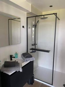 Bilik mandi di Gîte : Le Petit Appentis