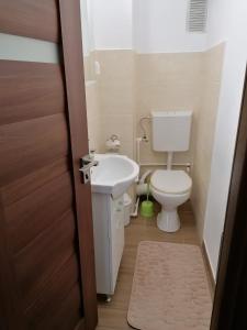 a small bathroom with a toilet and a sink at Selens Residence in Constanţa