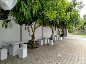 a group of white benches sitting next to trees at holidays hotel in Dummaladeniya East