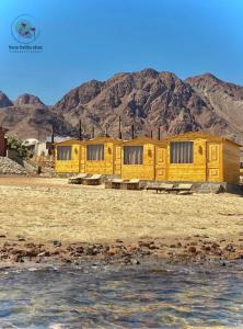 a row of yellow cabins with mountains in the background at New Bella Sina Camp in Nuweiba