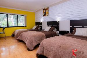 three beds in a room with yellow walls at Hostal Kolibri B&B in Cuenca