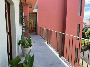 un pasillo de un edificio con paredes y plantas rosas en Apartamento Trindade en Oporto