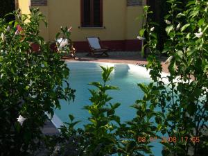 una piscina en un patio con plantas en B&B Il Pioppo E La Fonte, en Castello d'Agogna
