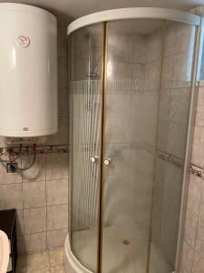 y baño con ducha y puerta de cristal. en Starčević apartmani Orašac Aranđelovac, en Orašac