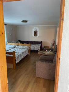 1 dormitorio con 1 cama y sala de estar en Starčević apartmani Orašac Aranđelovac, en Orašac