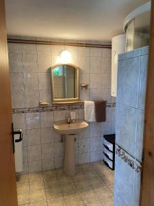 y baño con lavabo y espejo. en Starčević apartmani Orašac Aranđelovac, en Orašac