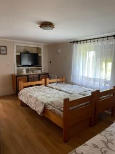 een slaapkamer met een groot bed en een televisie bij Starčević apartmani Orašac Aranđelovac in Orašac