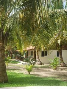 a house with two palm trees in front of it at Casa Villa Grand palapa frente al mar in El Cristo