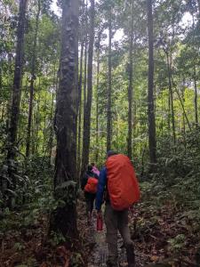 dos personas caminando por un sendero en el bosque en Casa Azul Reserva Amazonica, en Leticia
