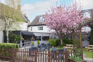 a garden with a wooden fence and a tree with pink flowers at Bell by Greene King Inns in Thetford