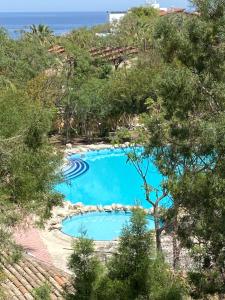 a large blue swimming pool surrounded by trees at Riviera Beach Bungalows in Kyrenia