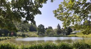 a pond in the middle of a park with trees at Le Petit Figuier in Villefranche-du-Périgord