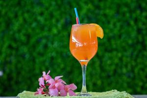 un vaso de zumo de naranja con una rodaja de naranja y flores en Pensiunea Danubia, en Eşelniţa