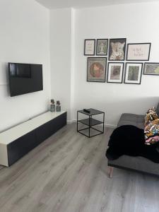 TV a/nebo společenská místnost v ubytování Nice Apartment in Gmunden