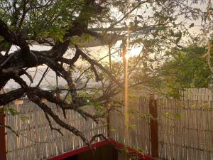 a tree with a fence and the sun shining through it at Encantadora casa tradicional con terraza in Oaxaca City