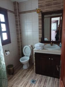 een badkamer met een toilet, een wastafel en een spiegel bij STUDIOS CHRISTINA in Póroi