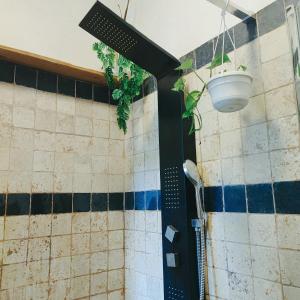 a bathroom with a shower with plants on the wall at Chambres d'hôtes dans Mas avec jardin en bord de rivière in Saumane