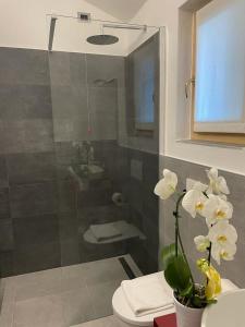 a bathroom with a shower with a toilet and a sink at Casetta Mary in Bellagio