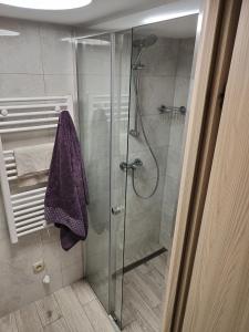 伊拉華的住宿－Mieszkanie Rampa，浴室里设有玻璃门淋浴