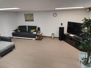 伊拉華的住宿－Mieszkanie Rampa，带沙发和平面电视的客厅