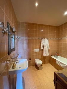 e bagno con lavandino, servizi igienici e vasca. di Château de Praslins a Nogent-sur-Vernisson Altre 37 foto