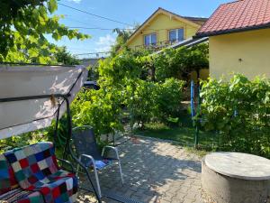 patio ze stołem, krzesłami i winoroślą w obiekcie Penzión u Aďky w mieście Podhájska