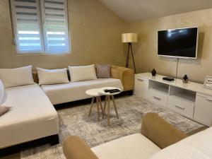 a living room with a couch and a tv at Apartment Helena Airport in Podgorica