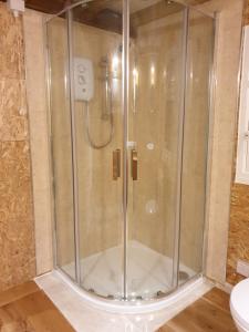 a shower with a glass door in a bathroom at Riverside Cabin at Pen-Y-Bont Mill in Oswestry