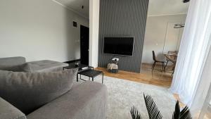 TV a/nebo společenská místnost v ubytování PARK LUX II