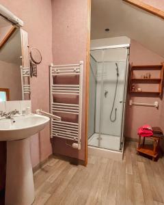 ein Bad mit einer Dusche und einem Waschbecken in der Unterkunft Le Clos de Vitermont in Englebelmer