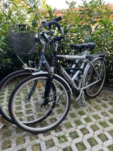 duas bicicletas estão estacionadas uma ao lado da outra em Ferienwohnungen in Erfurt em Erfurt