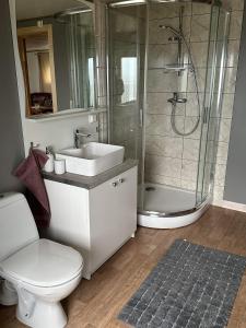 a bathroom with a shower and a toilet and a sink at Barents sea window in Ytre Kiberg